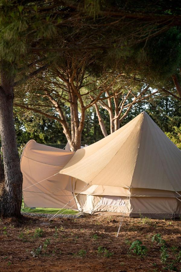 Glamping La Mimosa Conil *