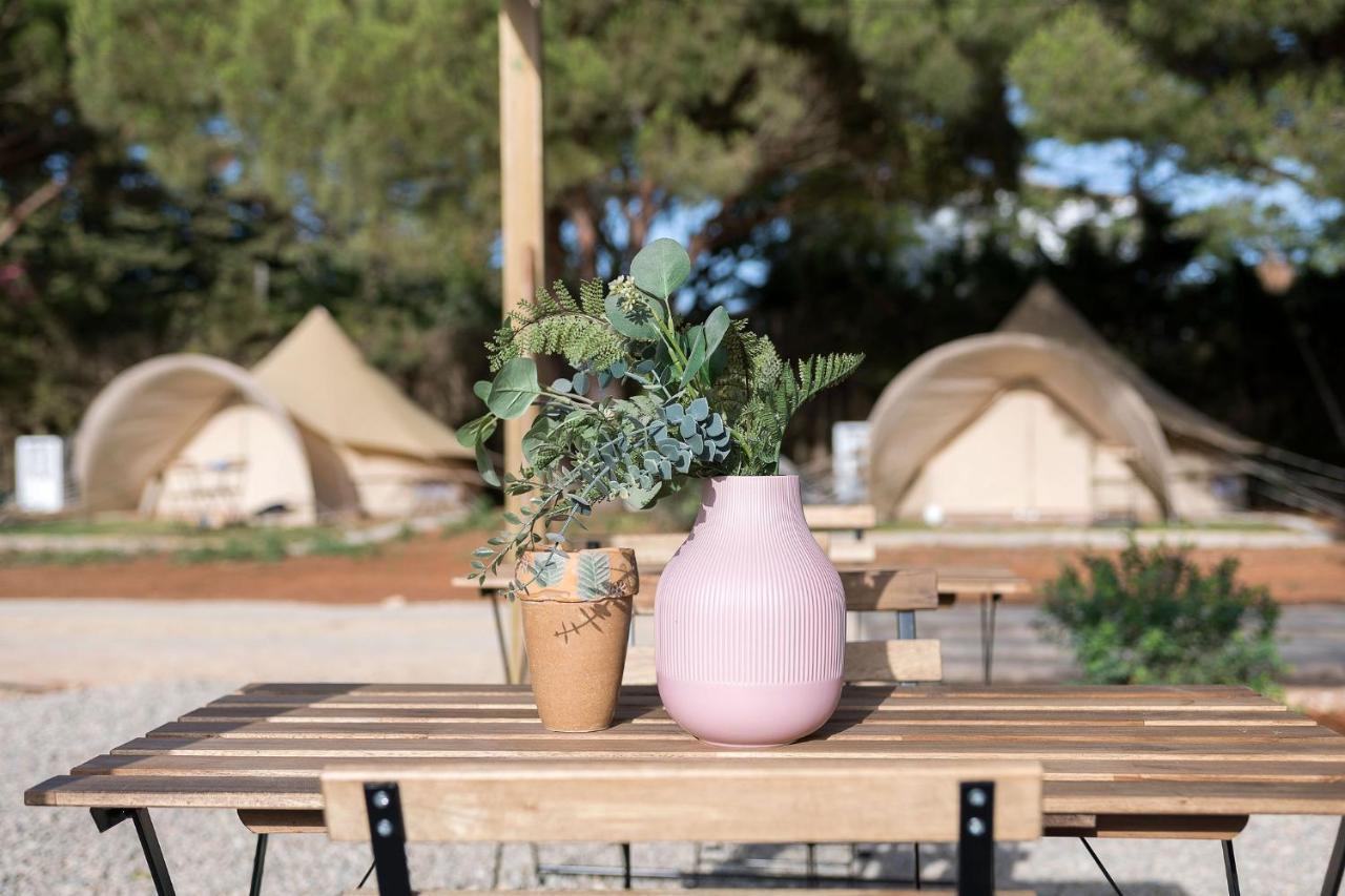Glamping La Mimosa Conil Campsite *